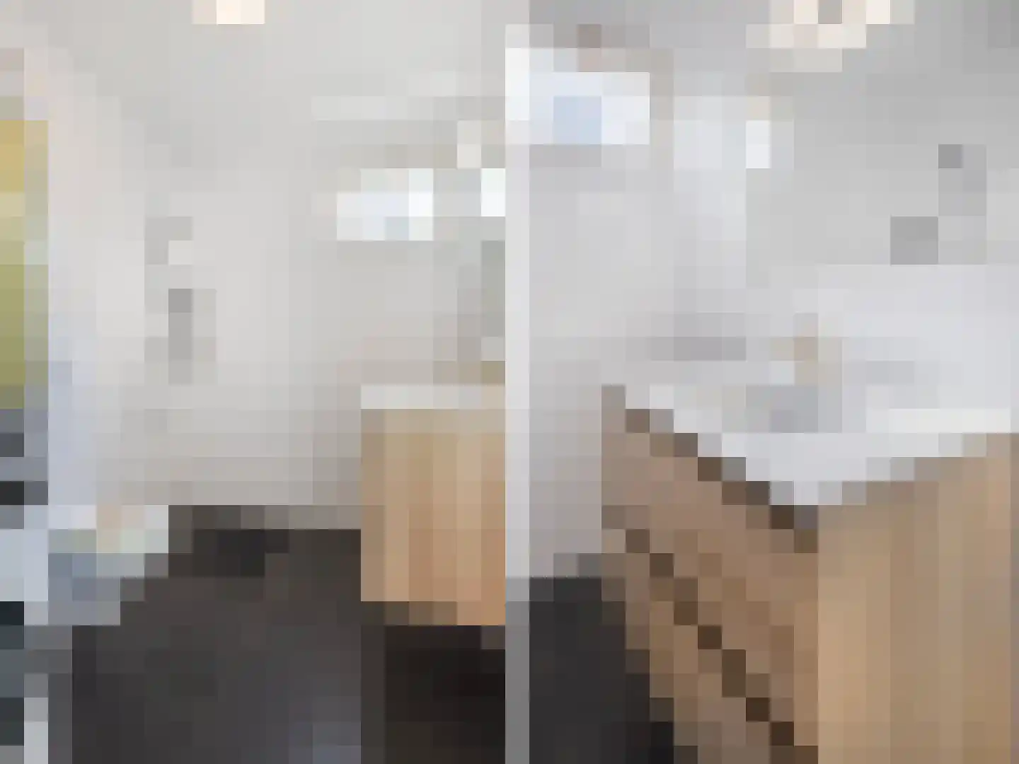 Spinozaweg 20 Utrecht thumbnail 15