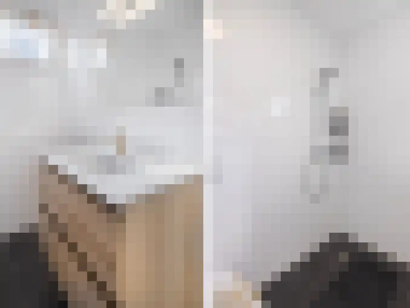 Spinozaweg 20 Utrecht thumbnail 17