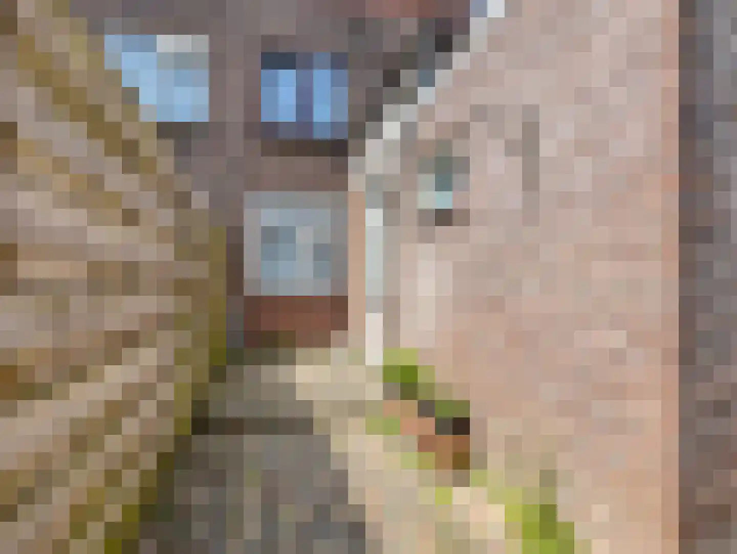 Spinozaweg 20 Utrecht thumbnail 18