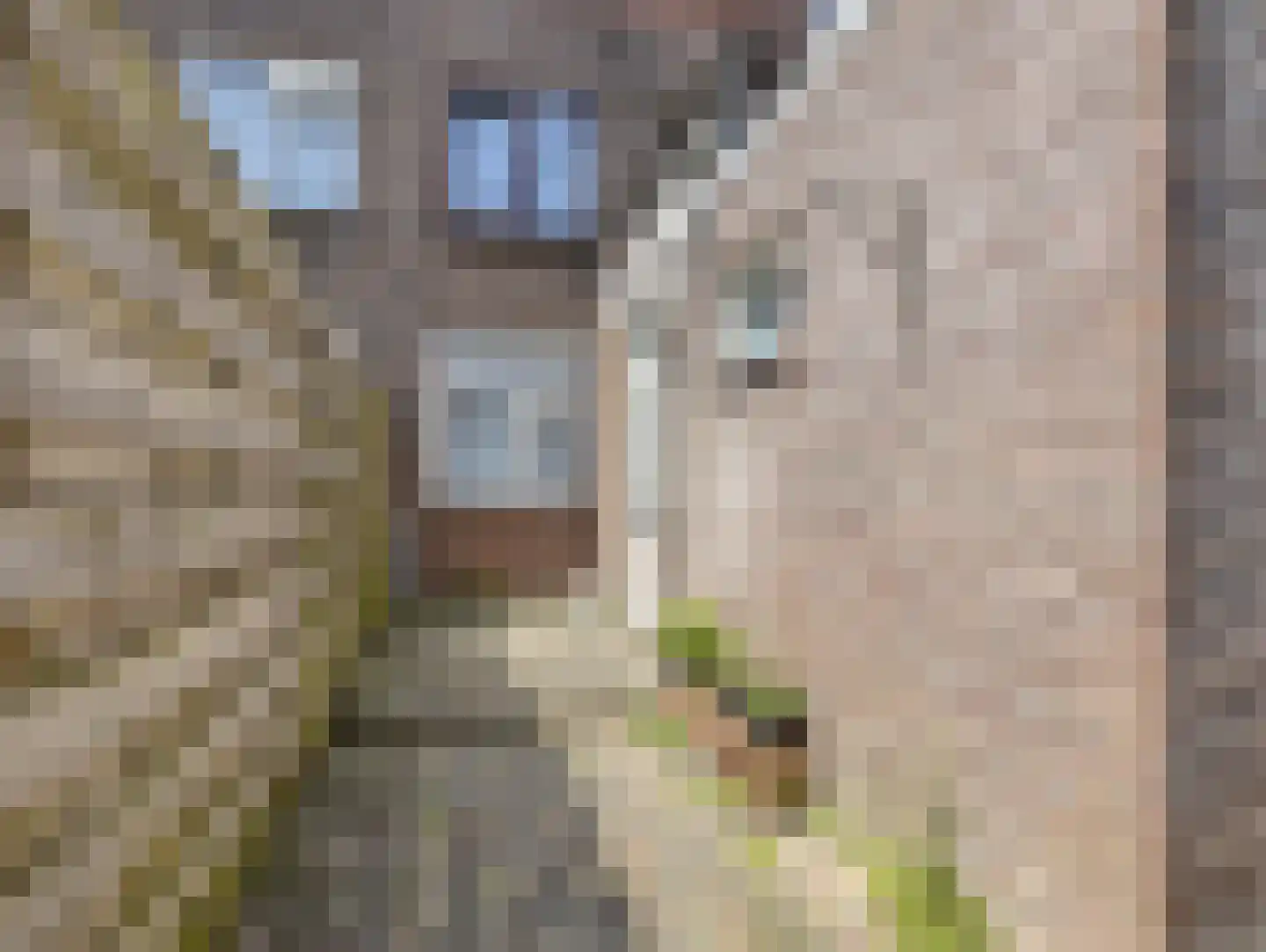 Spinozaweg 20 Utrecht thumbnail 36