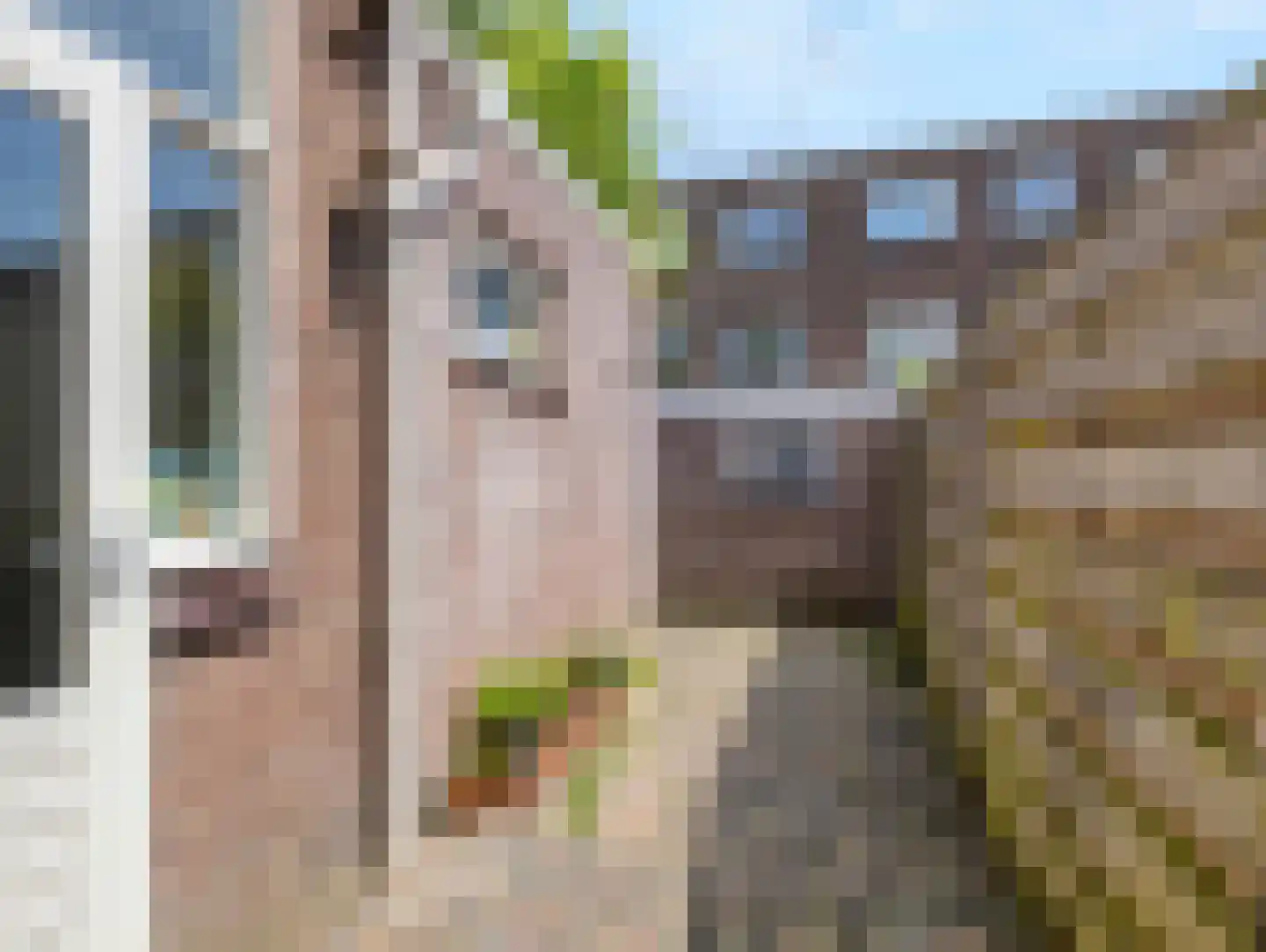 Spinozaweg 20 Utrecht thumbnail 4
