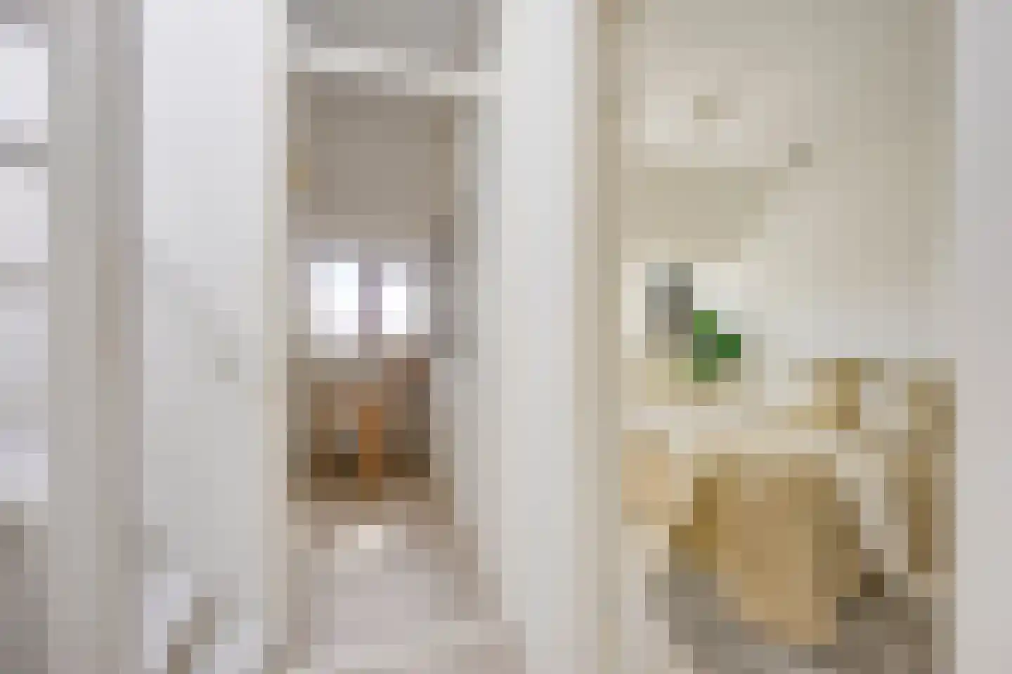 Spinozaweg 27 BS Utrecht thumbnail 30