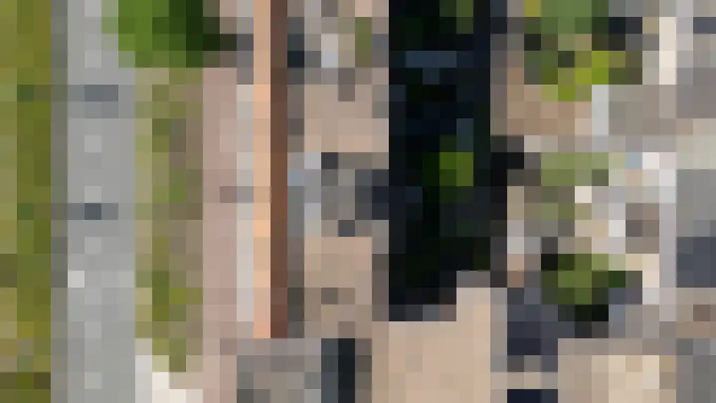 Spinozaweg 27 BS Utrecht thumbnail 43