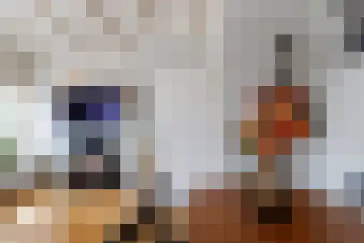 Spinozaweg 29 BS Utrecht thumbnail 10