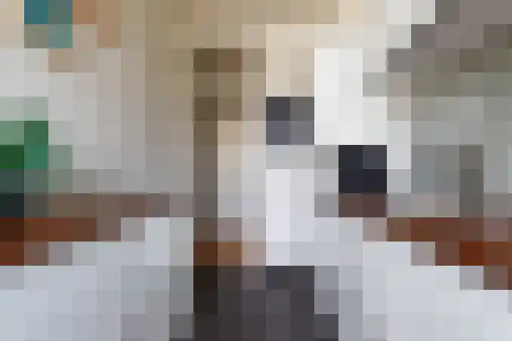 Spinozaweg 29 BS Utrecht thumbnail 13