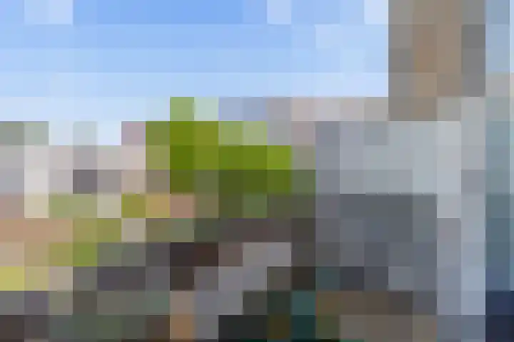 Spinozaweg 31 BS Utrecht thumbnail 21