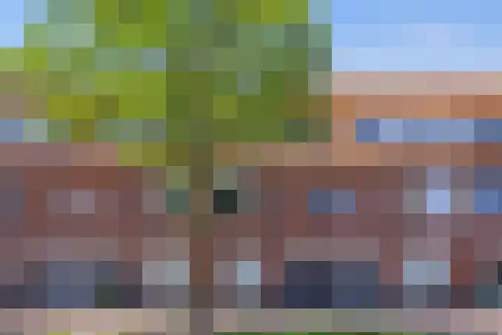 Spinozaweg 31 BS Utrecht thumbnail 43