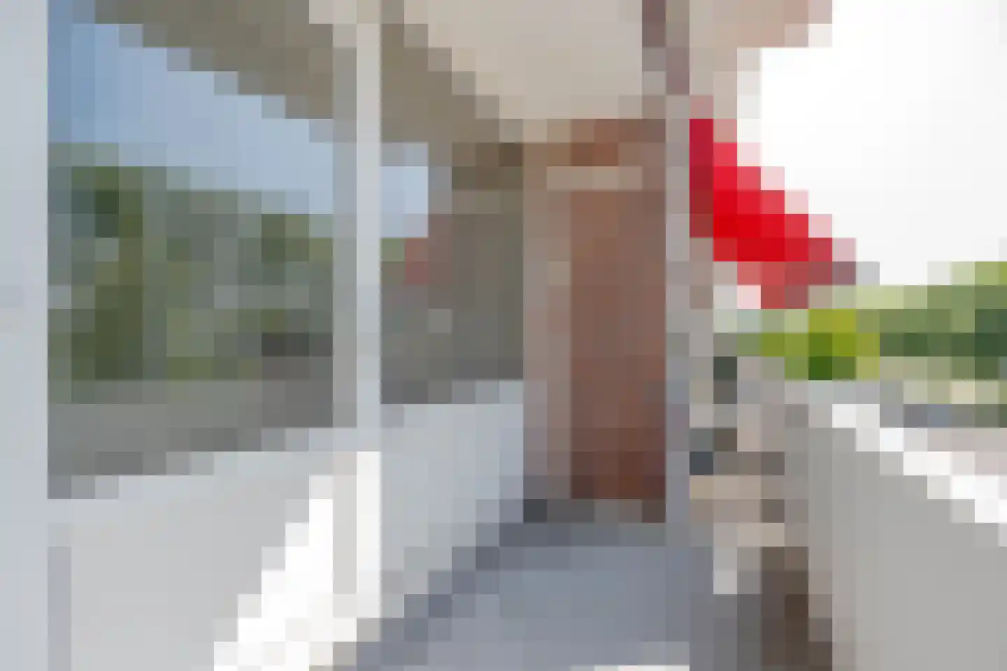 Spinozaweg 313 Rotterdam thumbnail 15