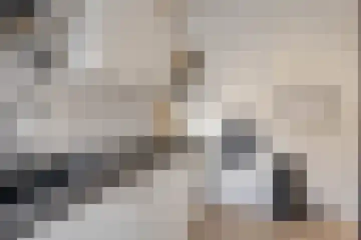 Spinozaweg 339 Rotterdam thumbnail 11
