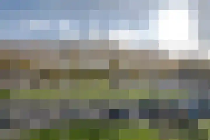 Spinozaweg 339 Rotterdam thumbnail 18