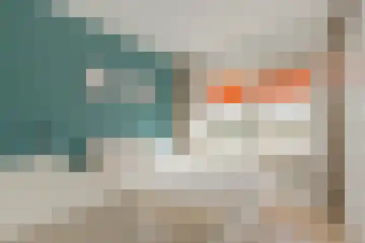 Spinozaweg 339 Rotterdam thumbnail 24