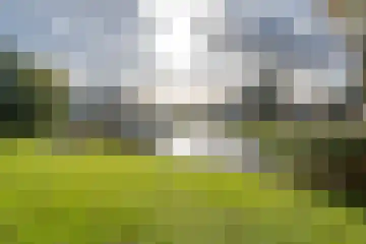 Spinozaweg 339 Rotterdam thumbnail 28