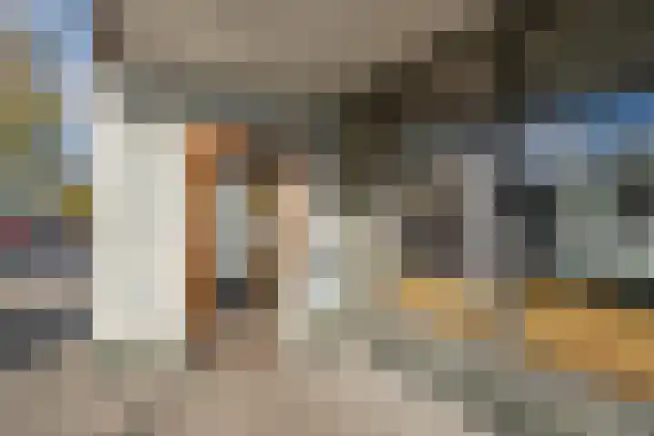 Spinozaweg 339 Rotterdam thumbnail 7