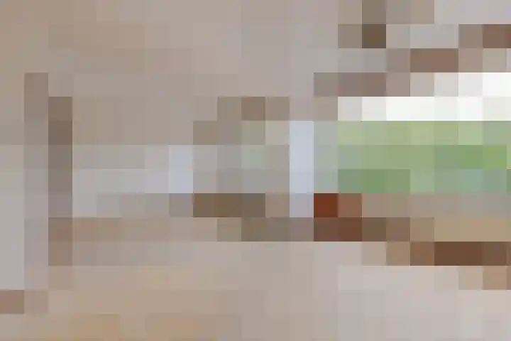 Spinozaweg 345 Rotterdam thumbnail 12