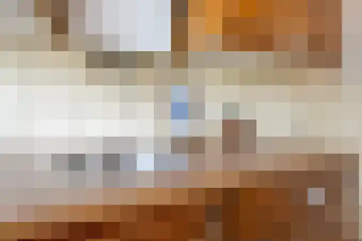 Spinozaweg 345 Rotterdam thumbnail 15