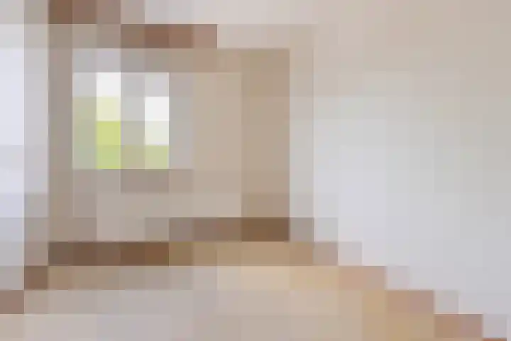 Spinozaweg 345 Rotterdam thumbnail 17