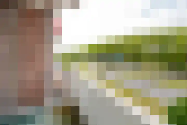 Spinozaweg 345 Rotterdam thumbnail 20