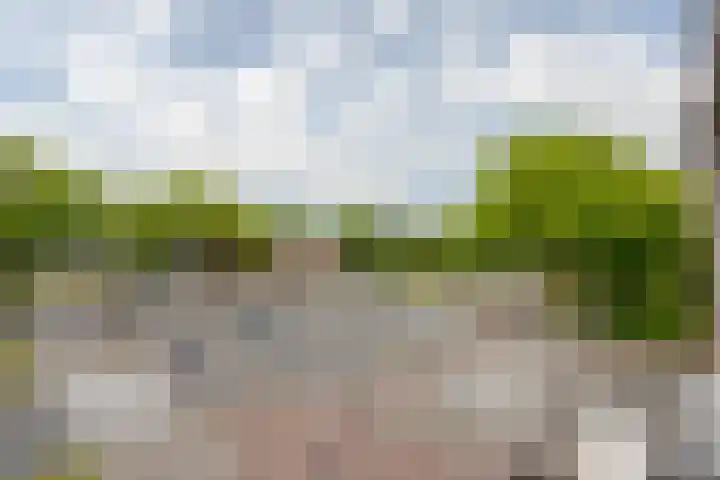 Spinozaweg 345 Rotterdam thumbnail 21