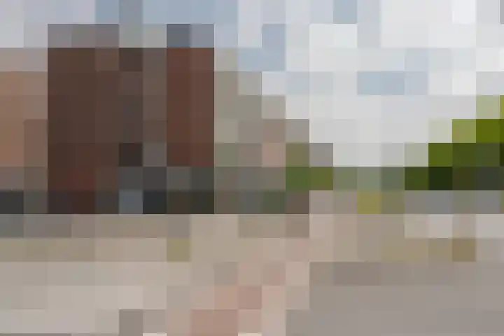 Spinozaweg 345 Rotterdam thumbnail 23