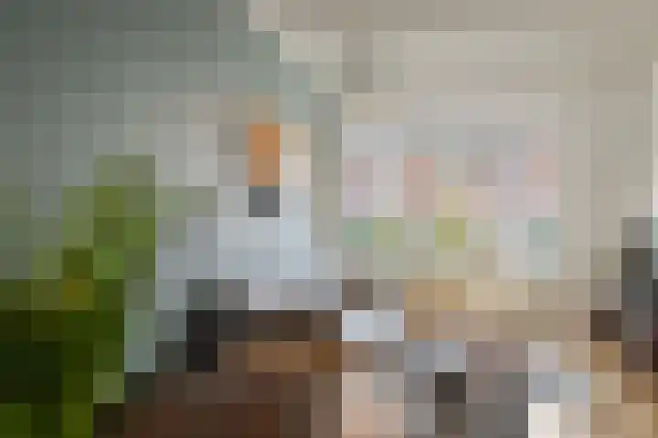 Spinozaweg 36 Utrecht thumbnail 10