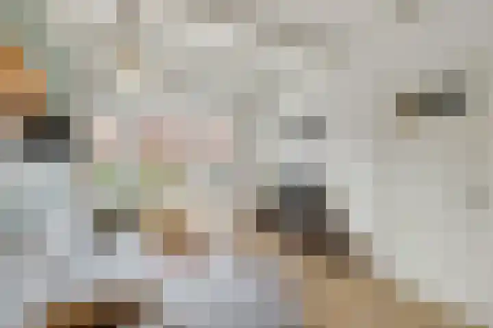 Spinozaweg 36 Utrecht thumbnail 11