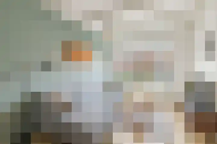 Spinozaweg 36 Utrecht thumbnail 12