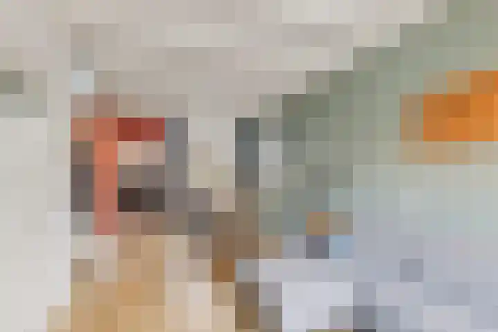 Spinozaweg 36 Utrecht thumbnail 13