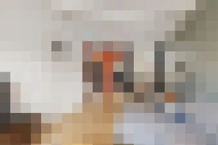 Spinozaweg 36 Utrecht thumbnail 14