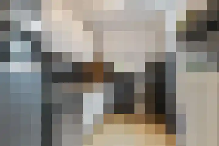 Spinozaweg 36 Utrecht thumbnail 18