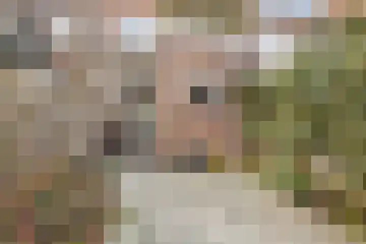 Spinozaweg 36 Utrecht thumbnail 21