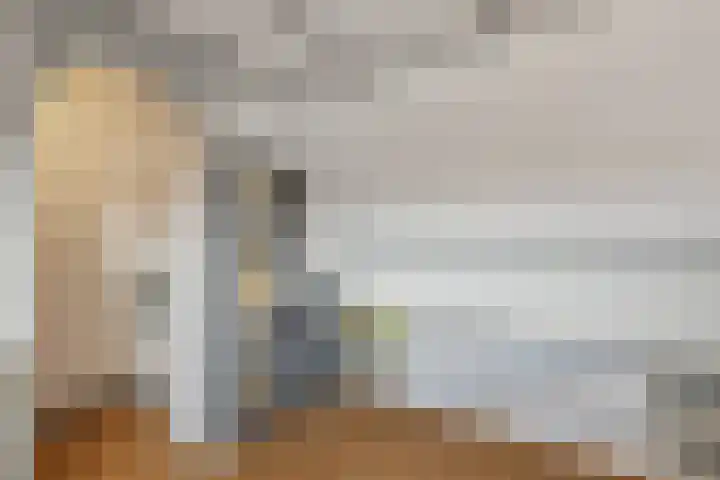 Spinozaweg 36 Utrecht thumbnail 35