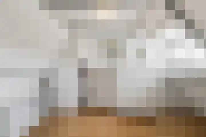 Spinozaweg 36 Utrecht thumbnail 5