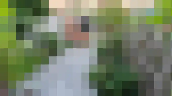 Spinozaweg 36 Utrecht thumbnail 6