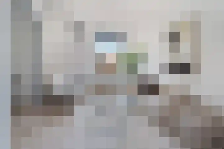 Spinozaweg 43 BS Utrecht thumbnail 10