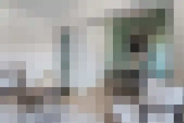 Spinozaweg 43 BS Utrecht thumbnail 13