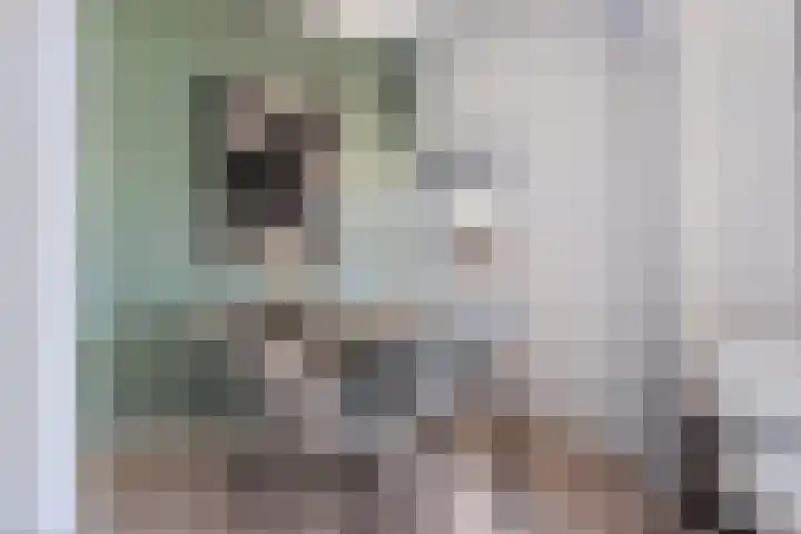 Spinozaweg 43 BS Utrecht thumbnail 14