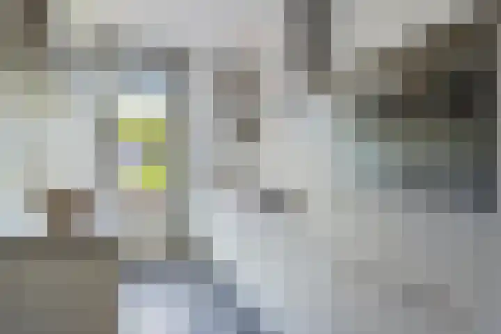 Spinozaweg 43 BS Utrecht thumbnail 16