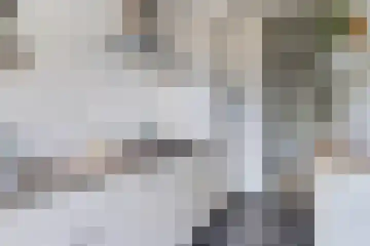 Spinozaweg 43 BS Utrecht thumbnail 17