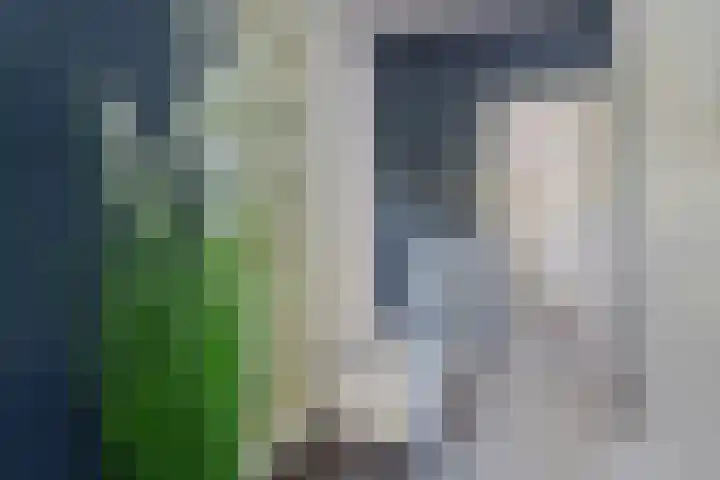 Spinozaweg 43 BS Utrecht thumbnail 21