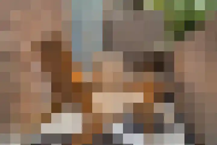 Spinozaweg 43 BS Utrecht thumbnail 30