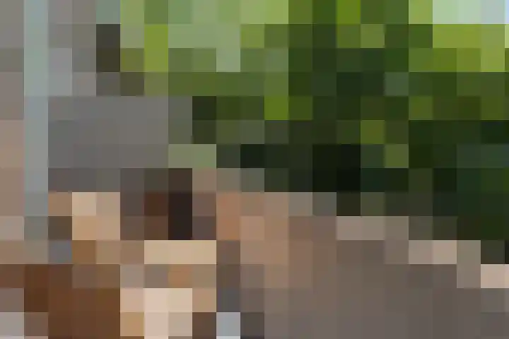 Spinozaweg 43 BS Utrecht thumbnail 4