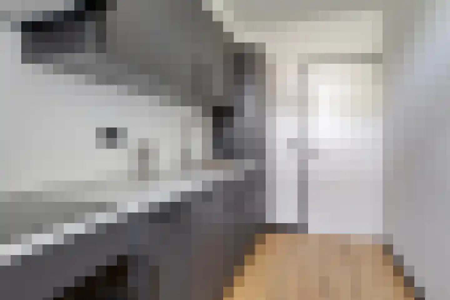 Spinozaweg 43 Utrecht thumbnail 15