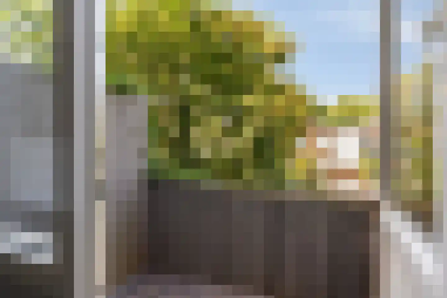 Spinozaweg 43 Utrecht thumbnail 20