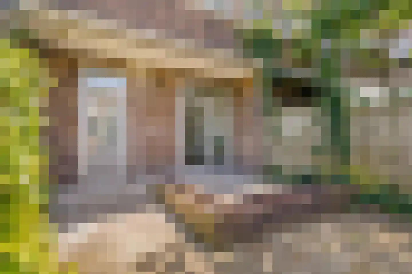 Spinozaweg 43 Utrecht thumbnail 24
