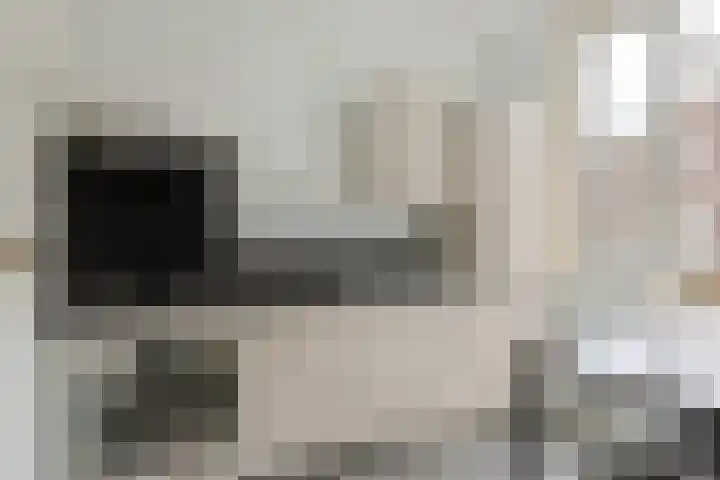Spinozaweg 46 BS Utrecht thumbnail 10