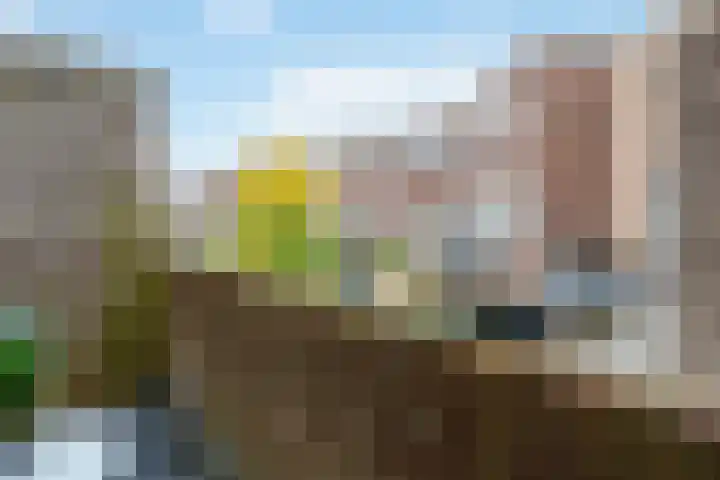 Spinozaweg 46 BS Utrecht thumbnail 15