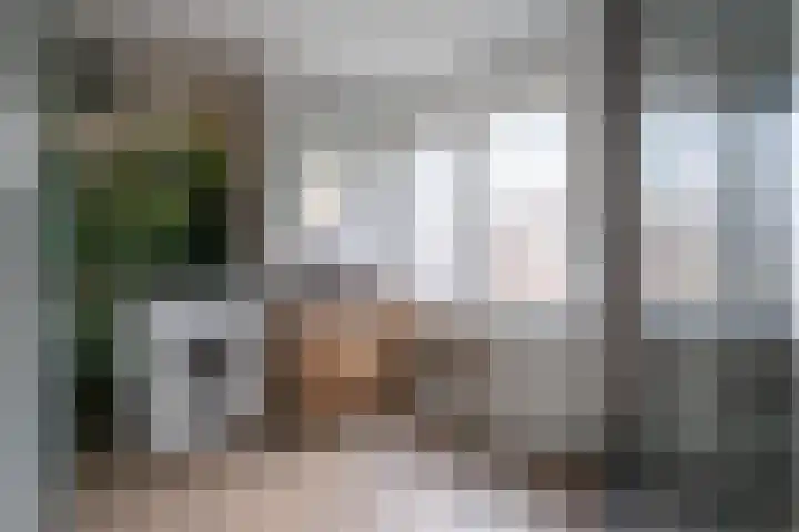 Spinozaweg 46 BS Utrecht thumbnail 18