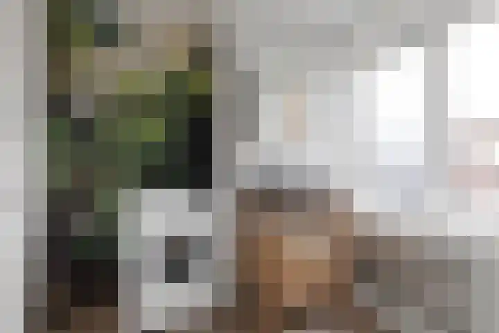 Spinozaweg 46 BS Utrecht thumbnail 19