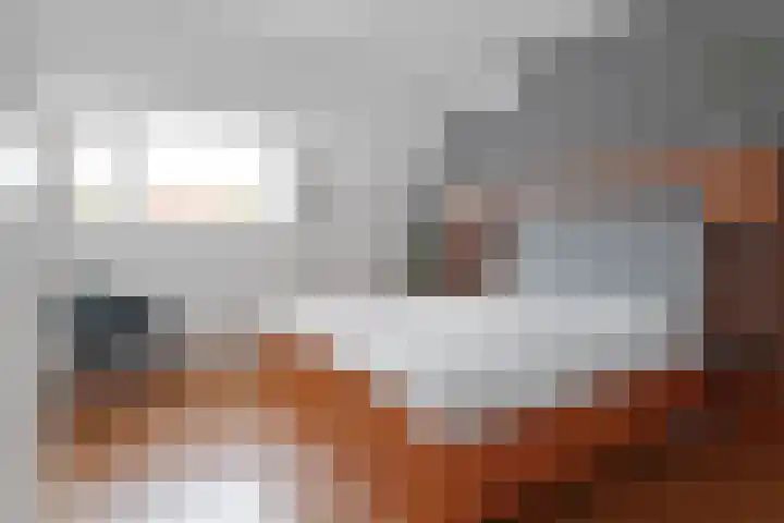 Spinozaweg 46 BS Utrecht thumbnail 21