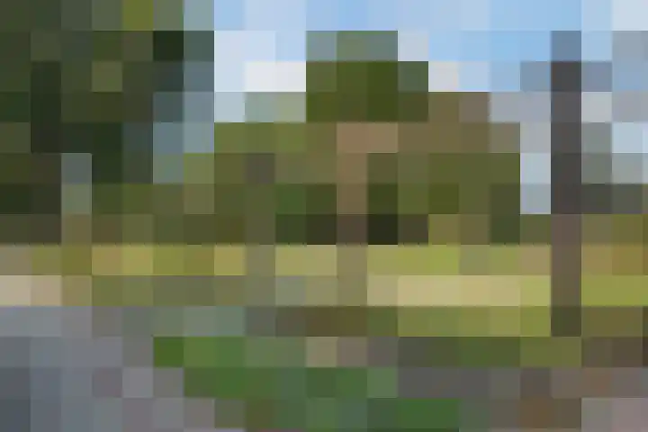 Spinozaweg 46 BS Utrecht thumbnail 29
